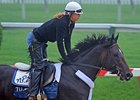 Florida Derby Winner Dialed In to Darby Dan Florida Derby Winner Dialed In to Darby Dan