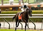Slim Shadey tries for his second straight graded stakes win over Santa Anita's turf course in the San Luis Rey Stakes.