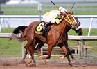 Yara fights off Grace Hall to win the Davona Dale.<br><a target="blank" href="http://www.bloodhorse.com/horse-racing/photo-store?ref=http%3A%2F%2Fpictopia.com%2Fperl%2Fgal%3Fprovider_id%3D368%26ptp_photo_id%3D9818526%26ref%3Dstory">Order This Photo</a>