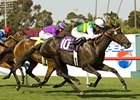 Diamond Diva, shown winning the 2008 Wilshire, is back to defend her title in 2009.