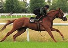 Contreras Seeks Canadian Triple Crown Sweep Contreras Seeks Canadian Triple Crown Sweep