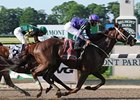 Bribon will try to get back on the winning track in the True North.<br><a target="blank" href="http://www.bloodhorse.com/horse-racing/photo-store?ref=http%3A%2F%2Fpictopia.com%2Fperl%2Fgal%3Fprovider_id%3D368%26ptp_photo_id%3D8151798%26ref%3Dstory">Order This Photo</a>