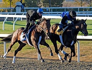 J. B.'s Thunder Tunes Up for BC Juvenile J. B.'s Thunder Tunes Up for BC Juvenile