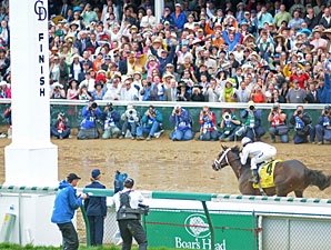 KY Derby TV Ratings Show Increase KY Derby TV Ratings Show Increase