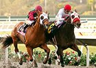 Big Macher wins the Cary Grant Stakes.