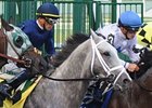 Dunkirk Works Five Furlongs Dunkirk Works Five Furlongs