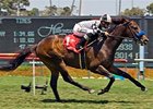 Whatsthescript, shown winning the 2008 American Handicap, looks to repeat in 2009.<br><a target="blank" href="http://www.bloodhorse.com/horse-racing/photo-store?ref=http%3A%2F%2Fpictopia.com%2Fperl%2Fgal%3Fprovider_id%3D368%26ptp_photo_id%3D4968554%26ref%3Dstory">Order This Photo</a>