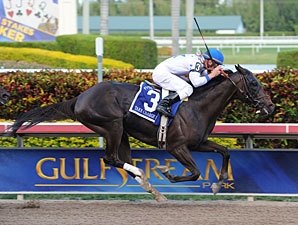 Take Charge Indy on Track for Donn Handicap Take Charge Indy on Track for Donn Handicap