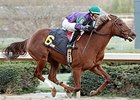 Arienza wins Oaklawn Park debut
