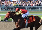 Queen's Plate winner Eye of the Leopard tries turf in the Breeders' Stakes at Woodbine.