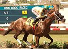 Big Cazanova Favored in Las Vegas Marathon Big Cazanova Favored in Las Vegas Marathon