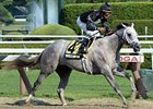 Wired Bryan skips home to win the Sanford Stakes.
<br><a target="blank" href="http://photos.bloodhorse.com/AtTheRaces-1/at-the-races-2013/27257665_QgCqdh#!i=2648400359&k=LFfzzPv">Order This Photo</a>