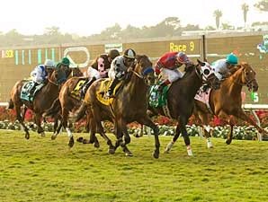Whatsthescript Adds Del Mar Mile Chapter Whatsthescript Adds Del Mar Mile Chapter