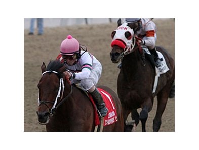 Star Guitar won the Louisiana Champions Day Classic in 2009 and 2010 (shown).