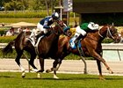 Regally Ready hangs on to win the San Simeon Handicap.<br><a target="blank" href="http://www.bloodhorse.com/horse-racing/photo-store?ref=http%3A%2F%2Fpictopia.com%2Fperl%2Fgal%3Fprovider_id%3D368%26ptp_photo_id%3D9493609%26ref%3Dstory">Order This Photo</a>