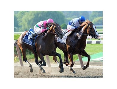 Shackleford wins the Met Mile.