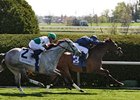 Wasted Tears scored her fifth consecutive win as she went wire-to-wire in the Jenny Wiley at Keeneland.
