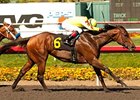 Turbulent Descent wins the Desert Stormer Handicap.