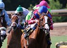 Brown Almighty won the Sunny's Halo Stakes on August 4.