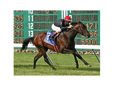 Boisterous wins the Monmouth Stakes.