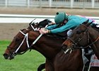 Expansion gets through to win the Fair Grounds Handicap.<br><a target="blank" href="http://www.bloodhorse.com/horse-racing/photo-store?ref=http%3A%2F%2Fpictopia.com%2Fperl%2Fgal%3Fprovider_id%3D368%26ptp_photo_id%3D9412642%26ref%3Dstory">Order This Photo</a>