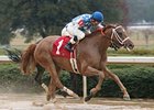 Taptam will carry top weight of 122 pounds in the Gardenia Stakes at Ellis Park.