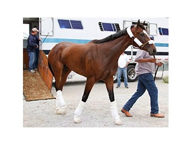 Dreaming of Julia arrives at Churchill Downs.