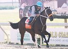 Bern Identity worked 4 furlongs in :48 1/5 on Nov. 10.