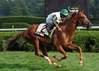 Five Iron wins the Saranac Stakes.
<br><a target="blank" href="http://photos.bloodhorse.com/AtTheRaces-1/at-the-races-2013/27257665_QgCqdh#!i=2737621374&k=5nscK9W">Order This Photo</a>