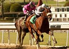 Amazombie takes on 8 in the Potrero Grande Stakes at Santa Anita Park.