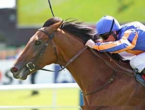 'Fire' Burns Brightly in the Irish Derby 'Fire' Burns Brightly in the Irish Derby