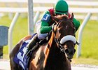 Visionaire drew the outside post in the field of ten for the Gotham (gr. III) at Aqueduct March 8.