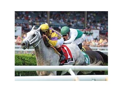 Wesley wins the National Museum of Racing Hall of Fame Stakes (gr. IIT) at Saratoga Race Course Aug. 4. <br><a target="blank" href="http://www.bloodhorse.com/horse-racing/photo-store?ref=http%3A%2F%2Fpictopia.com%2Fperl%2Fgal%3Fprovider_id%3D368%26ptp_photo_id%3D5396291%0D%0A%26ref%3Dstory">Order This Photo</a>