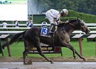 Street Life Retired After Travers Injury Street Life Retired After Travers Injury