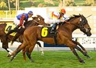 Artiste Royal noses out Medici Code in the San Marcos <br><a target="blank" href="http://www.bloodhorse.com/horse-racing/photo-store?ref=http%3A%2F%2Fpictopia.com%2Fperl%2Fgal%3Fprovider_id%3D368%26ptp_photo_id%3D7478339%0D%0A%26ref%3Dstory">Order This Photo</a>