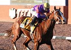 Poni Colada cruises to victory in the Borderland Derby.