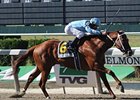 Haynesfield makes his first start of 2011 in the Westchester.<br><a target="blank" href="http://www.bloodhorse.com/horse-racing/photo-store?ref=http%3A%2F%2Fpictopia.com%2Fperl%2Fgal%3Fprovider_id%3D368%26ptp_photo_id%3D9095012%26ref%3Dstory">Order This Photo</a>