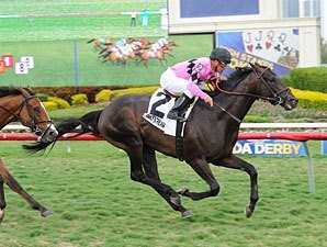 Appleton: Corporate Jungle Wins Stakes Debut Appleton: Corporate Jungle Wins Stakes Debut