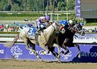 He's Had Enough (left) finished 2nd behind Shanghai Bobby in the Breeders' Cup Juvenile. <br><a target="blank" href="http://photos.bloodhorse.com/BreedersCup/2012-Breeders-Cup/Juvenile/26130125_Wz4K8f#!i=2194440251&k=22Lw5kH">Order This Photo</a>