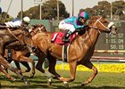 Sarah's Secret tries to return to the Winner's Circle in the Harold C. Ramser Sr. Stakes.