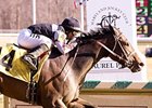 Grade II Winner Millionreasonswhy Dies Grade II Winner Millionreasonswhy Dies