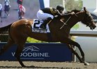 Madman Diaries takes the Victoria Stakes under Jeffrey Sanchez.