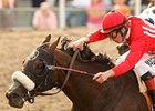 Informed will try to give trainer Doug O'Neill his 5th Hollywood Gold Cup.<br><a target="blank" href="http://www.bloodhorse.com/horse-racing/photo-store?ref=http%3A%2F%2Fpictopia.com%2Fperl%2Fgal%3Fprovider_id%3D368%26ptp_photo_id%3D8243504%26ref%3Dstory">Order This Photo</a>
