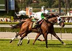 Providencia Stakes winner Scarlet Strike has the outside post in the Senorita Stakes.
