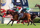 Ambitious Dragon wins the Hong Kong Mile.