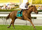 Cat by the Tale cruises in the San Gorgonio.<br><a target="blank" href="http://www.bloodhorse.com/horse-racing/photo-store?ref=http%3A%2F%2Fpictopia.com%2Fperl%2Fgal%3Fprovider_id%3D368%26ptp_photo_id%3D8726084%26ref%3Dstory">Order This Photo</a>