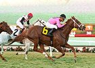 Kaigun's last win came in the Seabiscuit on November 28, 2014.