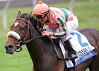 Somali Lemonade makes her first start over the Monmouth Park turf in the Boiling Spring Stakes.
