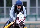 I Want Revenge Tops NTRA 3-Year-Old Poll I Want Revenge Tops NTRA 3-Year-Old Poll