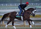 Fast Bullet Euthanized Due to Colic Fast Bullet Euthanized Due to Colic